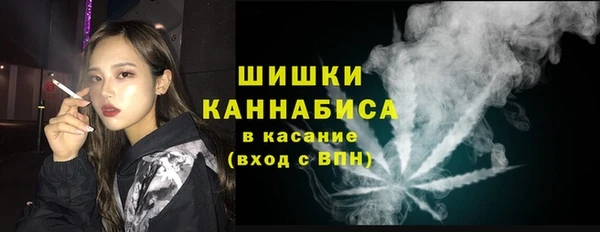 не бодяженный Арсеньев